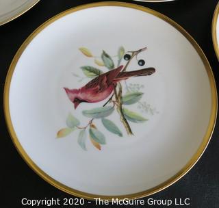 Set 8 Porcelain Plates Based on Audubon Drawings of Bird.  Made by Hutschenreuther Selb LHS in Germany for Pasco.  Measure approximately 8".