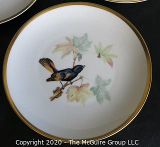 Set 8 Porcelain Plates Based on Audubon Drawings of Bird.  Made by Hutschenreuther Selb LHS in Germany for Pasco.  Measure approximately 8".