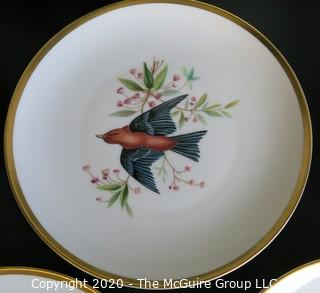 Set 8 Porcelain Plates Based on Audubon Drawings of Bird.  Made by Hutschenreuther Selb LHS in Germany for Pasco.  Measure approximately 8".