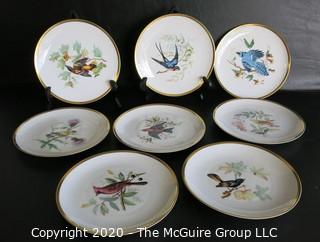 Set 8 Porcelain Plates Based on Audubon Drawings of Bird.  Made by Hutschenreuther Selb LHS in Germany for Pasco.  Measure approximately 8".