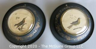 Pair of Two Bird Drawings in Tole Painted Frames with Convex Glass. They Measure Approximately 6" in diameter.