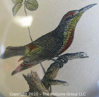 Pair of Two Bird Drawings in Tole Painted Frames with Convex Glass. They Measure Approximately 6" in diameter.