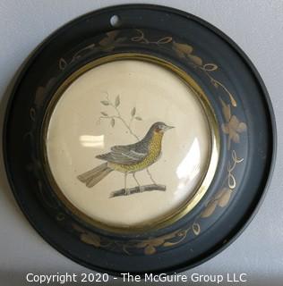 Pair of Two Bird Drawings in Tole Painted Frames with Convex Glass. They Measure Approximately 6" in diameter.