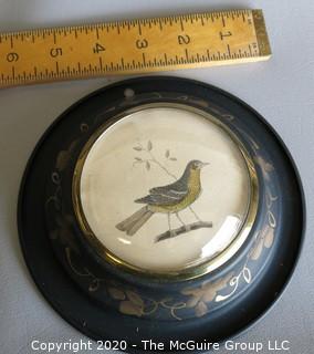 Pair of Two Bird Drawings in Tole Painted Frames with Convex Glass. They Measure Approximately 6" in diameter.