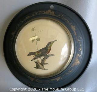 Pair of Two Bird Drawings in Tole Painted Frames with Convex Glass. They Measure Approximately 6" in diameter.