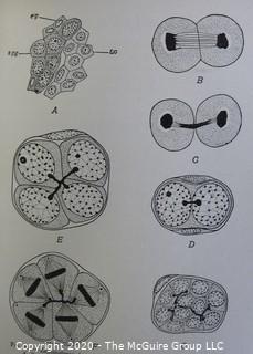 Lot of Three Vintage Medical Text Books with Black and White Clinical Illustrations.