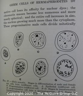 Lot of Three Vintage Medical Text Books with Black and White Clinical Illustrations.