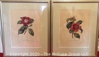 Two Framed Floral Lithographs in Bright Clear Colors.