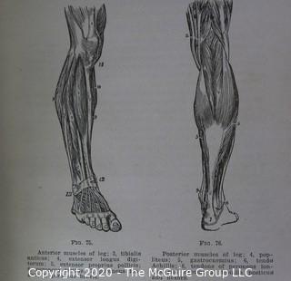 Group of Four Vintage Anatomy and Biology Books.