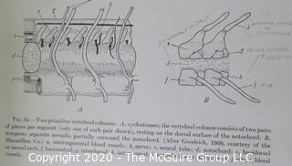 Group of Four Vintage Anatomy and Biology Books.