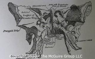 Group of Four Vintage Anatomy and Biology Books.