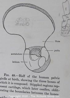 Group of Four Vintage Anatomy and Biology Books.