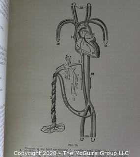 Group of Four Vintage Anatomy and Biology Books.