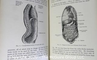 Group of Books including Some Medical Books with Illustrations.