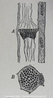 Group of Books including Some Medical Books with Illustrations.