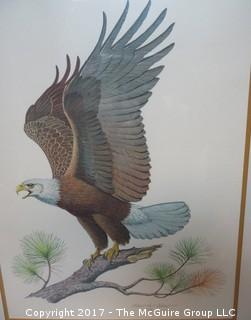 Framed hand engraving titled "The American Bald Eagle", signed Albert Earl Gilbert; 1976 (Outside Dimensions: 24 x 33")