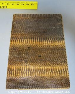 Alligator Skin Portfolio