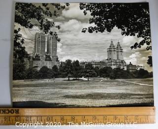 Vintage Large Format Black & White Photo of New York City Central Park by Rickerby