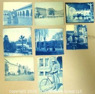 Collection of Cyanotype Photos