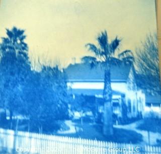 Collection of Cyanotype Photos