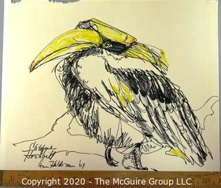 Art: Pen & Ink: 1969: "Casque Hornbill" by Ann Haldeman