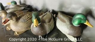 Six Plastic Duck Decoys made by Greenherd Gear.