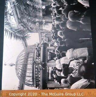 Large Format Black & White Photo of the Kapok Tree Inn in Clearwater Florida