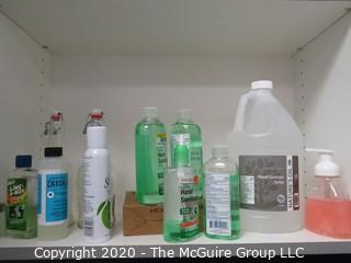 Group of Disinfectant Items and Hand Sanitizer - Room 20 Kitchen