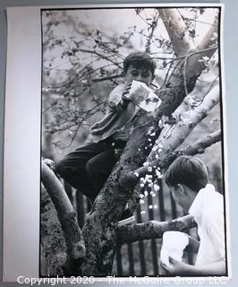 Black & White Large Format Photograph by A. Rickerby - Brothers in Tree