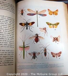 Four Volume Set of The Outline of Science: A Plain Story Simply Told 1922 by J. Arthur Thomson.  Illustrated