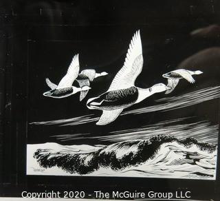 Six Black & White Slides of Bird Drawings by S. Briggs for Atlantic Naturalist