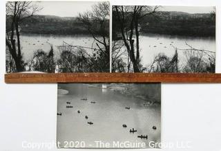 Three Large Format Black & White Photographs by A Rickerby.  Part of Springtime Photo Series.  Measure Approximately 13" x 9"