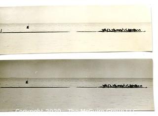 Two Large Format Black & White Photographs by A Rickerby.  Birds on Sand Bar.  Measure Approximately 14" x 4 1/2"