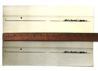 Two Large Format Black & White Photographs by A Rickerby.  Birds on Sand Bar.  Measure Approximately 14" x 4 1/2"