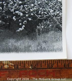 Large Format Black & White Photo by Arthur Rickerby - Tractor Ride Through the Orchard