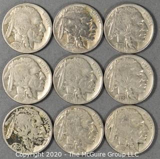 (9) Buffalo Nickels