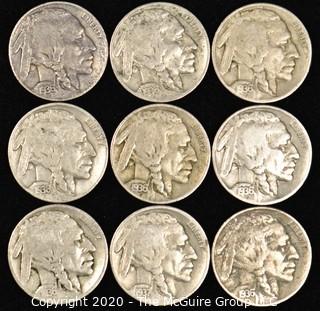 (9) Buffalo Nickels