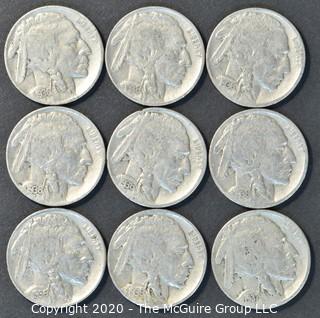 (9) Buffalo Nickels