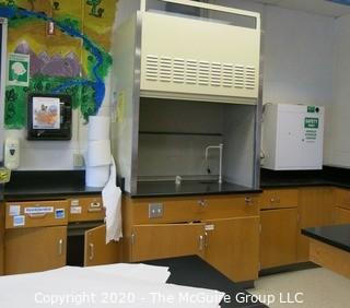 Science Room tables and cabinetry. You must uninstall and remove what you want.