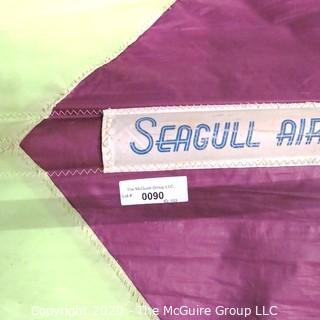 Vintage Purple & Green Seagull Aircraft Hang Glider.  Found on back stage wall. 