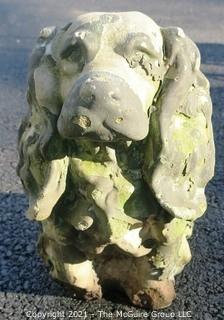 Vintage Cement Outdoor Garden Statue of Cocker Spaniel Dog.  Measures approximately 12" tall.