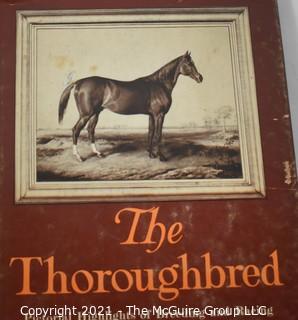 Collection of Equine Themed Books 