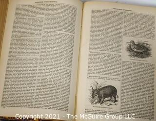 Set of (10) Volume Leather Bound Books: "Chambers's Encyclopedia: A Dictionary of Universal Knowledge for the People; Illustrated; 1868