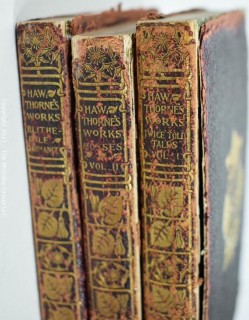 Three (3) leather bound volumes of Nathanial Hawthorne's Romances, published by Crowell and Co.