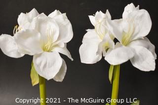 Two (2) Faux White Flowers in Glass Vases; 26"T