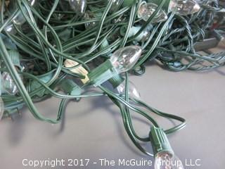 Holiday Lights and extension cord