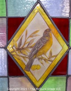 Framed Stain Glass Window With Robin in Center on Copper Foiled Panel.  Measures approximately 33" Square. 