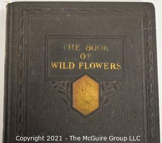 Books: Collection of 6 books on the natural world