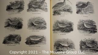 Books: Collection of 5 books including "1800 Woodcuts by Thomas Bewick and His School", Artist Ben Shahn, Artist and Architect Antonio Gaudi, 