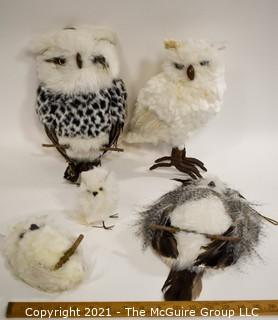 Four (4) Decorative Owls with Feathers.  They're a "Hoot"